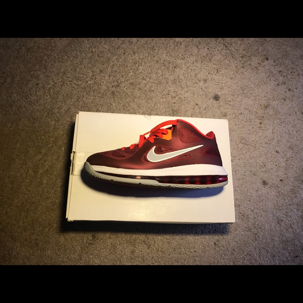 Lebron 9s low